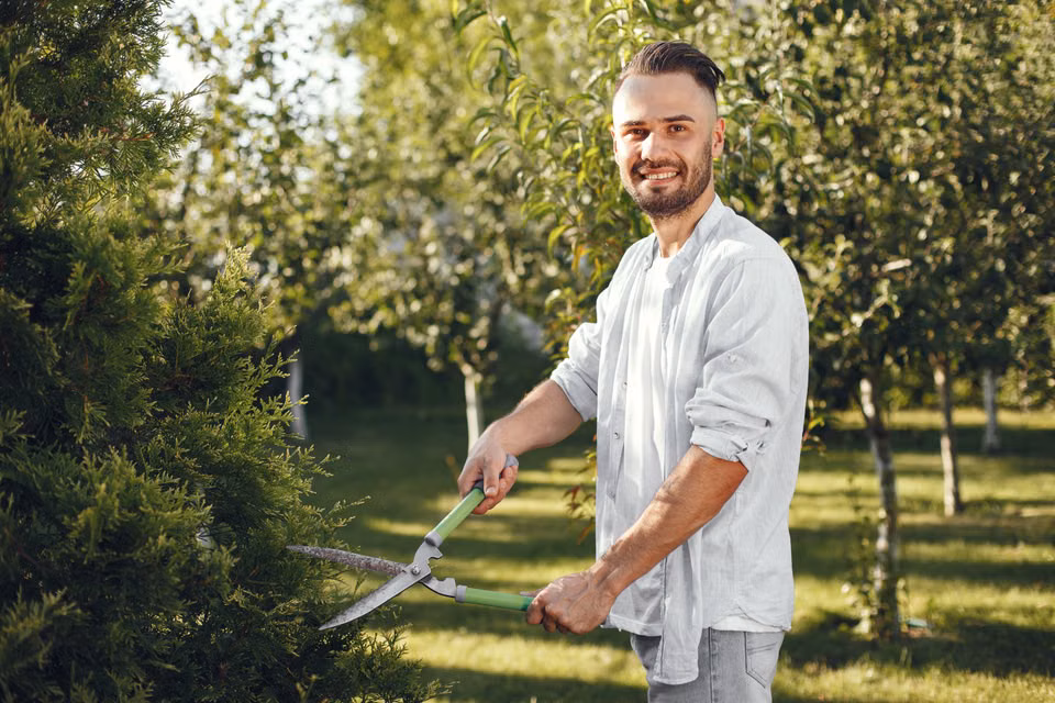 A man looking over a tree before cutting it